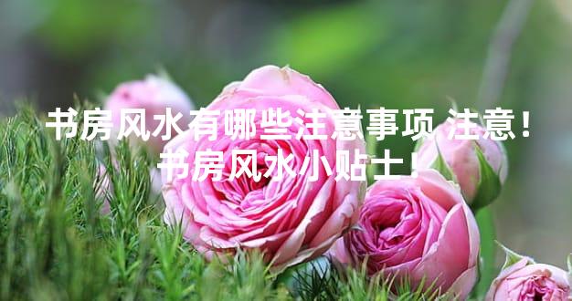 书房风水有哪些注意事项 注意！书房风水小贴士！